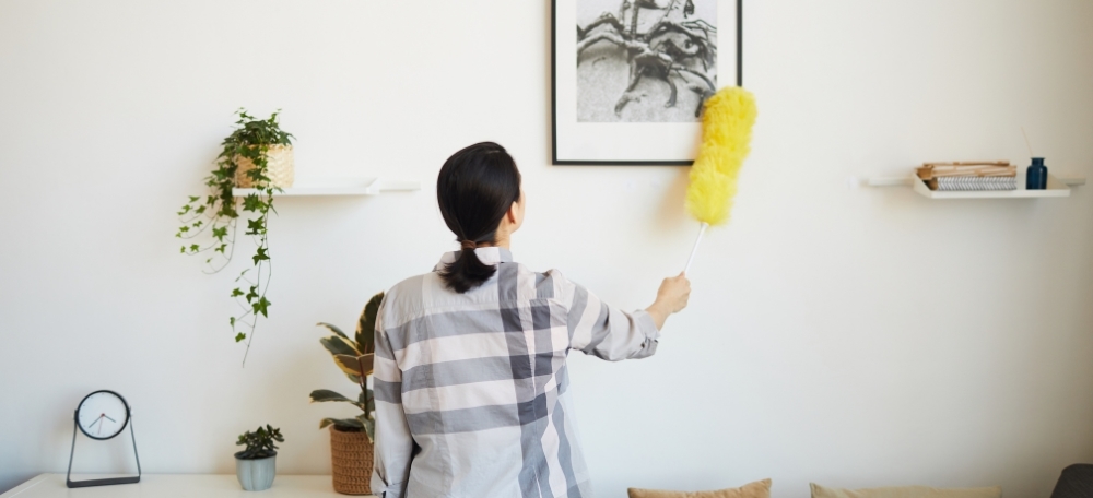Schoonmaken Kopen